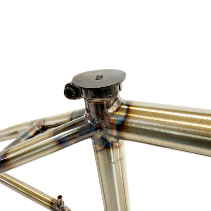 S&M RAMBLER BIG LINCOLN FRAME 21.25" -GLOSS CLEAR-