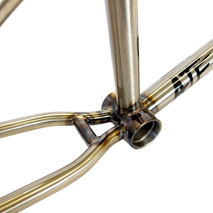 S&M ATF FRAMES 20.5" T.T. -GLOSS CLEAR-