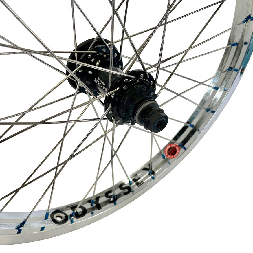 ODYSSEY ANTIGRAM V2 CASSETTE REAR Hub Black 14mm カスタム・ホイール（RHD設定）